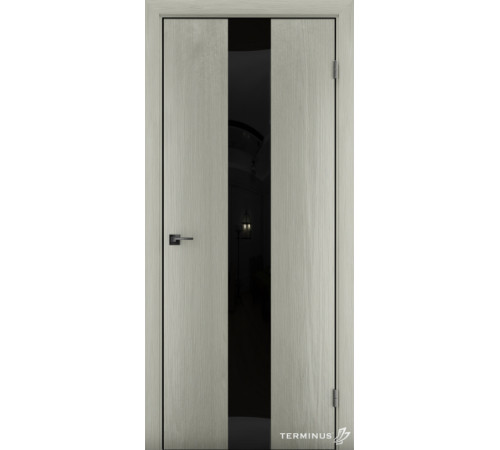 Межкомнатные Двери Terminus Solid 2 804