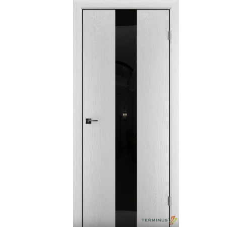 Межкомнатные Двери Terminus Solid 2 804