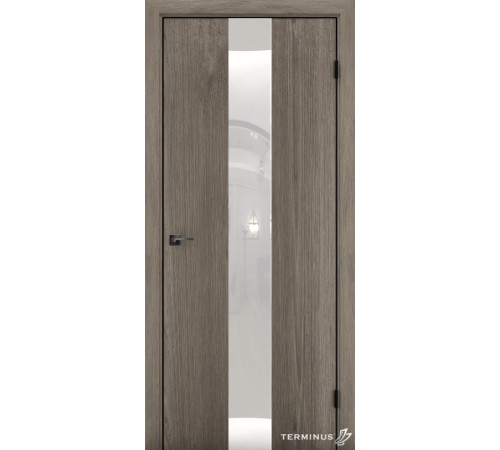 Межкомнатные Двери Terminus Solid 2 804
