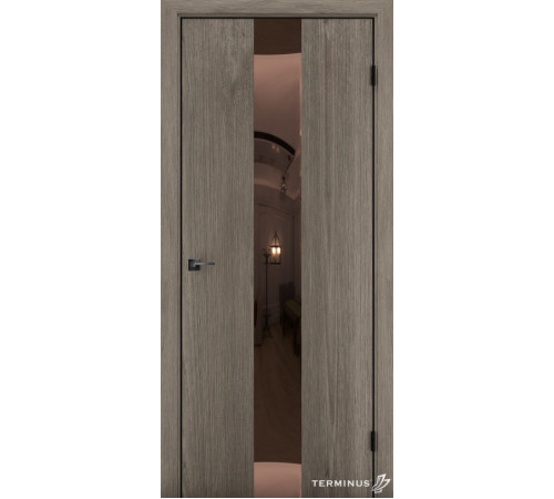 Межкомнатные Двери Terminus Solid 2 804