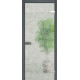 Міжкімнатні Двері WakeWood All-glass 01