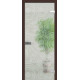 Міжкімнатні Двері WakeWood All-glass 01