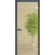 Міжкімнатні Двері WakeWood All-glass 02