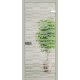 Міжкімнатні Двері WakeWood All-glass 04