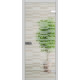 Міжкімнатні Двері WakeWood All-glass 04