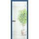 Міжкімнатні Двері WakeWood All-glass 06