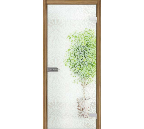 Міжкімнатні Двері WakeWood All-glass 06