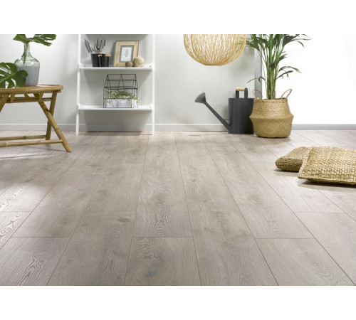 Ламинат Alsaplan Homflor Distingo - HD 536 Дуб Лін