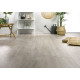Ламинат Alsaplan Homflor Distingo - HD 536 Дуб Лін