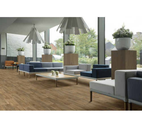 Лінолеум Beauflor Ambient Gambel Oak 662M
