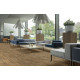 Лінолеум Beauflor Ambient Gambel Oak 662M