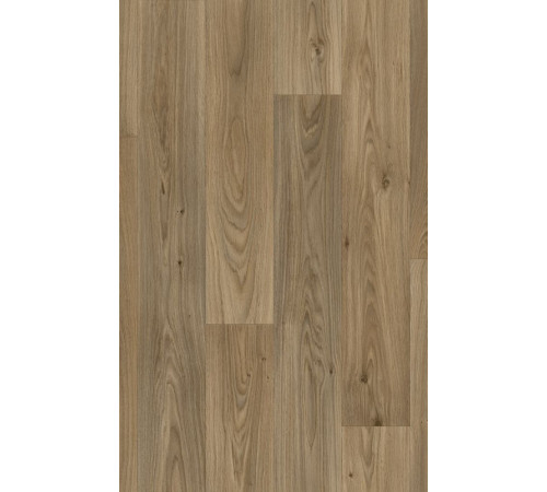 Лінолеум Beauflor Ambient Gambel Oak 662M