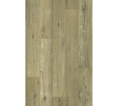 Лінолеум Beauflor Feelings Tasmanian Oak 169M