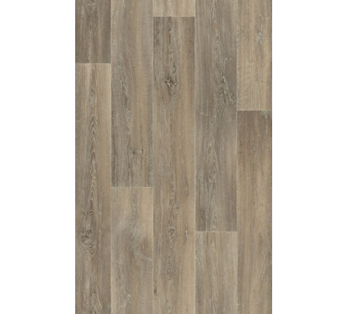 Лінолеум Beauflor Quintex Lime Oak 160L
