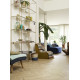 Лінолеум Beauflor Soho Laurel Oak 116L