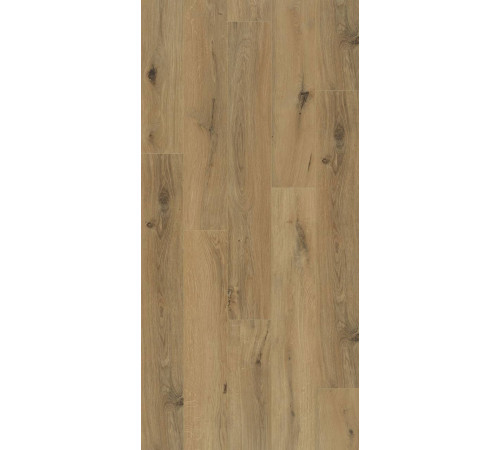 Ламінат BerryAlloc CONNECT 8 4V Gyant Natural B4107