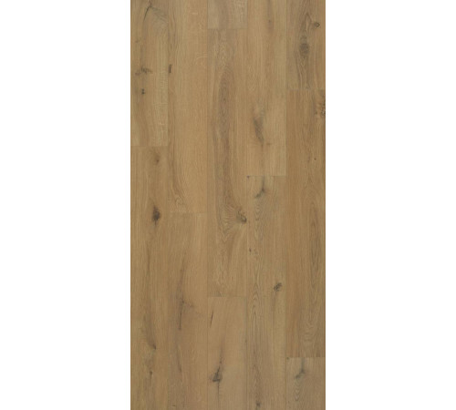 Ламінат BerryAlloc CONNECT 8 4V Gyant Warm Natural B4123