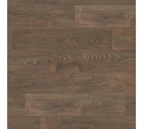 Ламінат Haro Tritty 100 Acacia Vario