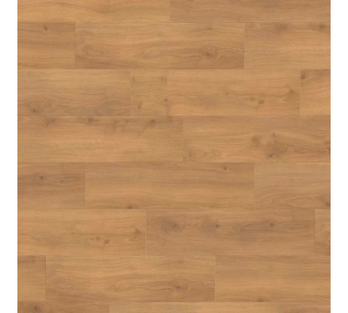 Ламінат Haro Tritty 100 Oak Emilia Honey
