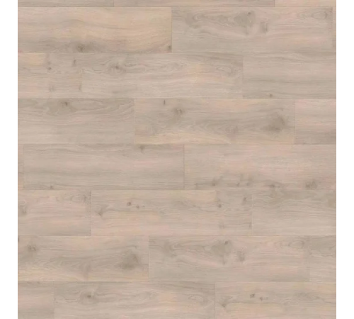 Ламінат Haro Tritty 100 Oak Emilia Velvet Grey