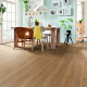 Ламінат Haro Tritty 100 Oak Flavia Nature
