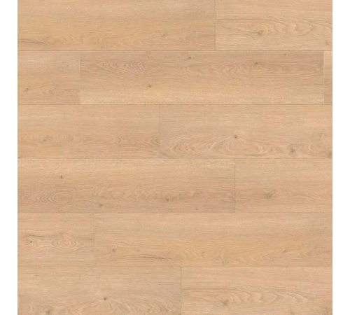 Ламінат Haro Tritty 100 Oak Flavia Puro