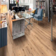 Ламінат Haro Tritty 100 Oak Italica Creme