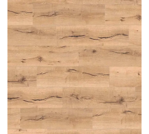 Ламінат Haro Tritty 100 Oak Italica Creme