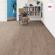 Ламінат Haro Tritty 100 Oak Portland Grey