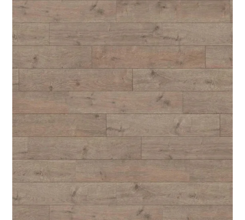Ламінат Haro Tritty 100 Oak Portland Grey