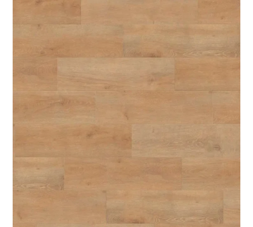 Ламінат Haro Tritty 100 Oak Veneto Nature