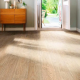 Ламінат Haro Tritty 100 Silver Maple Vario