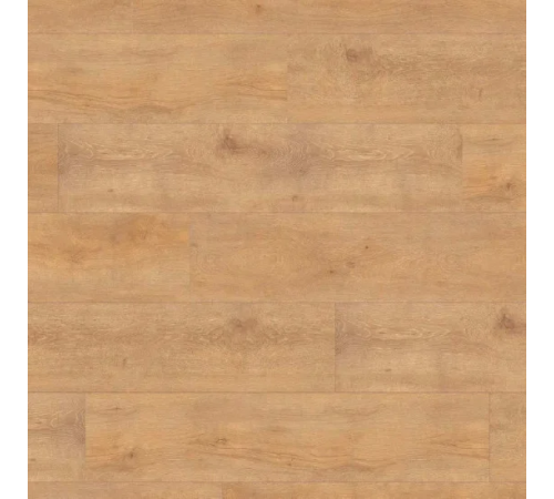 Ламінат Haro Tritty 200 Aqua Oak Veneto Nature
