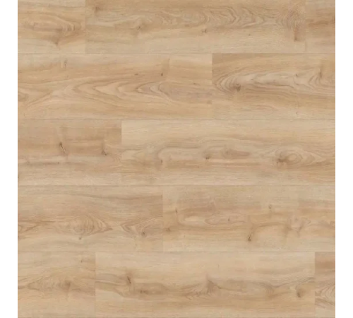 Ламінат Kaindl AquaPro Select Natural Touch 8.0 K2241 Дуб Кордоба Крема
