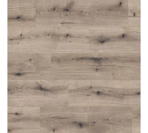 Ламінат Kaindl Natural Touch 8.0 K5576 Дуб Evoke Knot Solano
