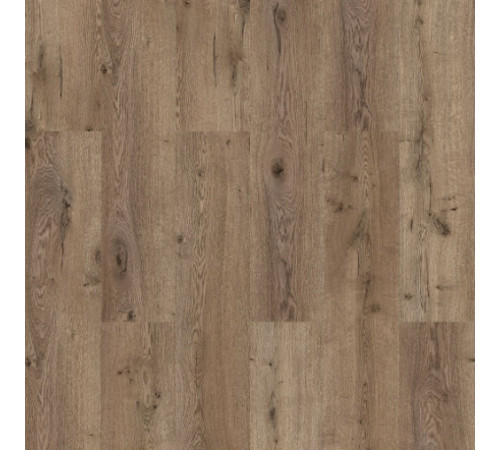Ламінат Kastamonu Classic - Summer Oak KT210