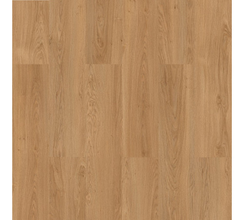 Ламінат Kastamonu Smooth - Salina Oak SMT004