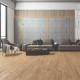 Ламінат Kastamonu FloorPan NATUREL - Дуб Лефкас FN009