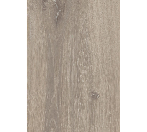Ламінат My Style My Dream - Wilderness Oak K223