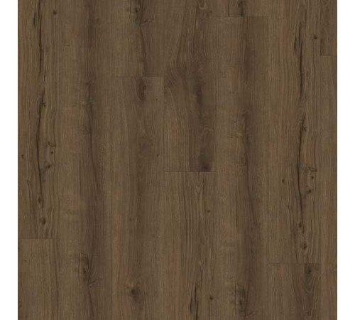 Вінілова плитка Parador TrendTime 8 - Oak Cambridge smoked