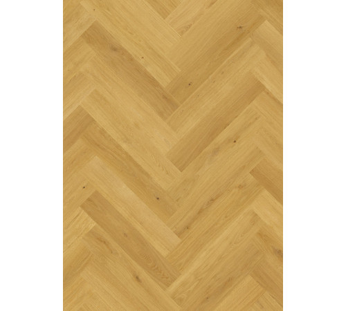 Ламінат Quick Step Impressive Design 8247 Дуб кмин