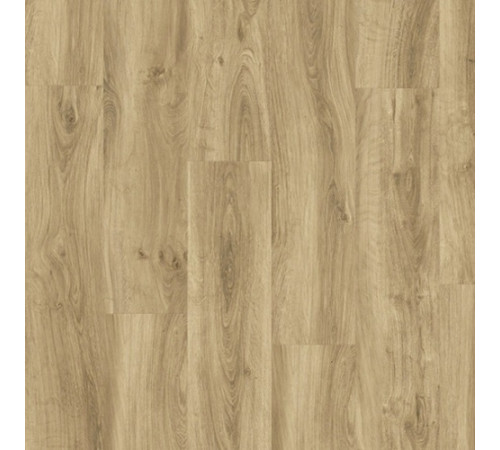 Вінілова плитка Tarkett Click 30 CONTEMPORARY OAK-NATURAL 36010002