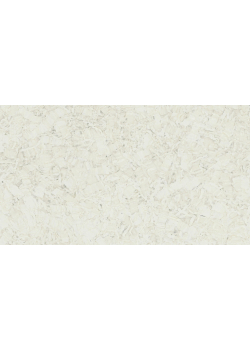 Лінолеум Tarkett iQ Megalit - Megalit WHITE 0605
