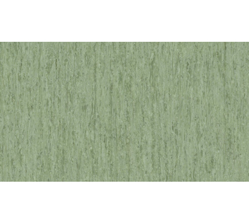 Лінолеум Tarkett iQ OPTIMA - Optima OLIVE GREEN 0838