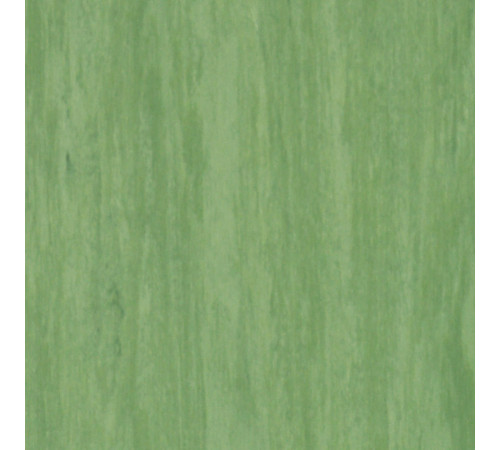 Лінолеум Tarkett STANDARD PLUS - Standard DARK GREEN 0921