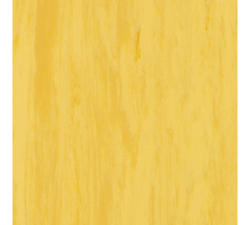 Лінолеум Tarkett STANDARD PLUS - Standard GOLD 0916