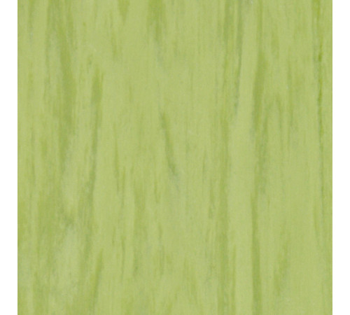 Лінолеум Tarkett STANDARD PLUS - Standard LIME 0922