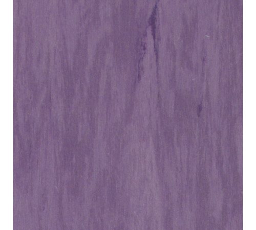 Лінолеум Tarkett STANDARD PLUS - Standard PURPLE 0918