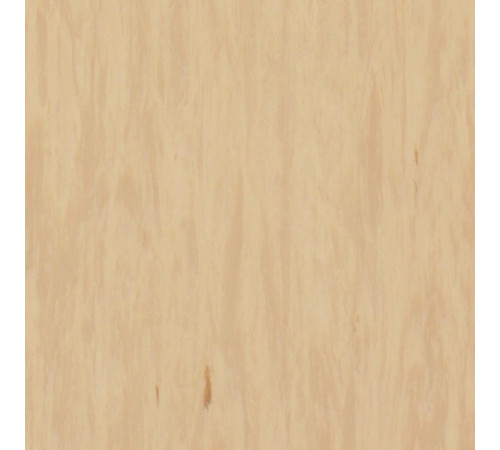 Лінолеум Tarkett STANDARD PLUS - Standard SANDSTONE 0484