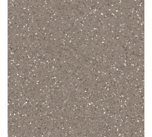 Линолеум Tarkett Primo Premium - Primo DARK COOL BEIGE 0676